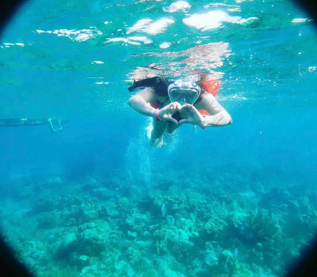 Snorkel & Island